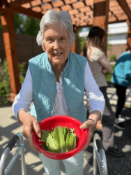 An elderly woman smiles and holds a red bowl filled with fresh green lettuce leaves. She stands outside in the sunlight, using a walker, with other people and a wooden pergola in the background.