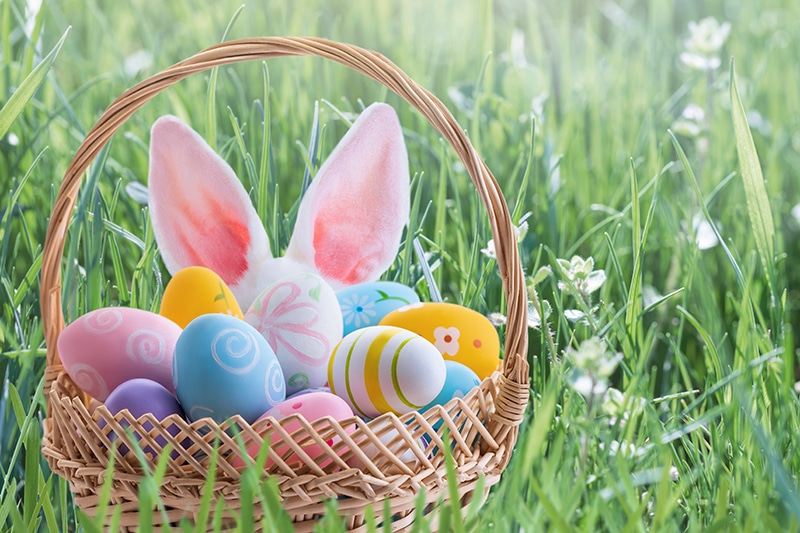 Easter Egg Hunt with the Easter Bunny