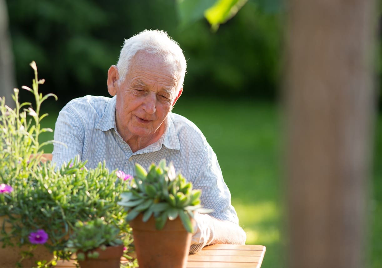 An elderly man with white hair sits outdoors at a wooden table, tending to potted plants and flowers amid greenery—a tranquil example of supportive environments designed for connection and well-being on a sunny day.