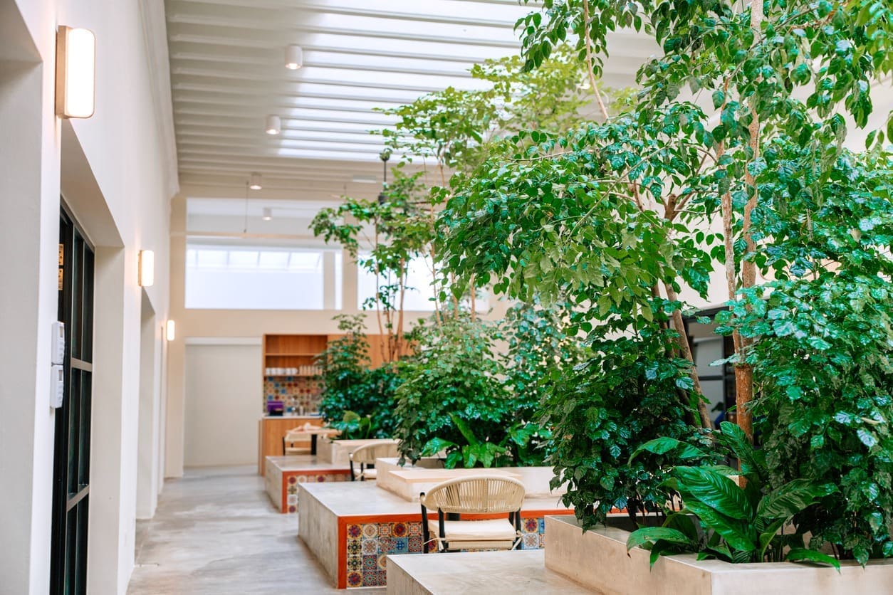 A bright, modern indoor space with large green plants, wooden tables, and chairs embodies human-centered environments. Natural light streams through skylights, creating a fresh, inviting atmosphere. A small kitchen area is visible in the background.