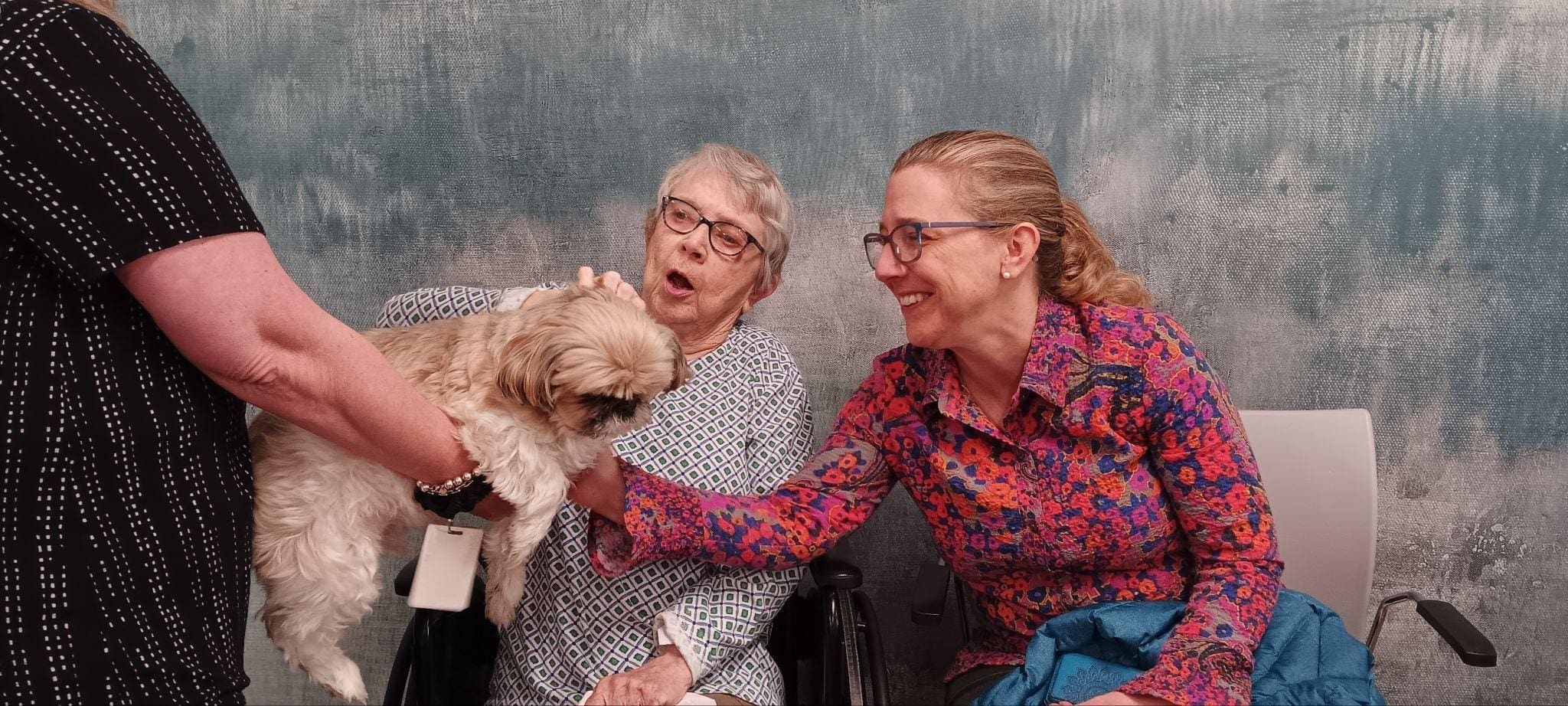 Two women sit side by side, smiling and petting a small fluffy dog held by a third person; one woman looks surprised and delighted, while the other reaches out—capturing a joyful moment at our South Shore Memory Care community.