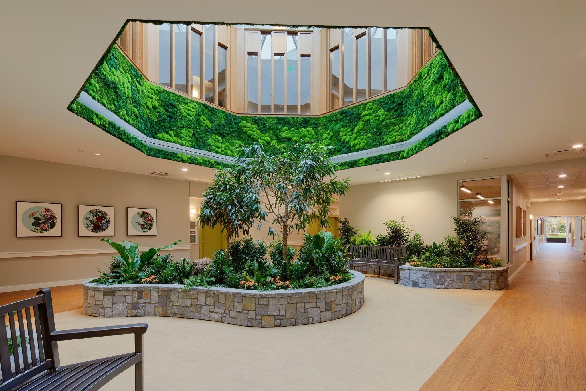 Indoor garden with lush plants in a round stone planter under a skylight, surrounded by benches and artwork on the walls, creating a bright, inviting space.